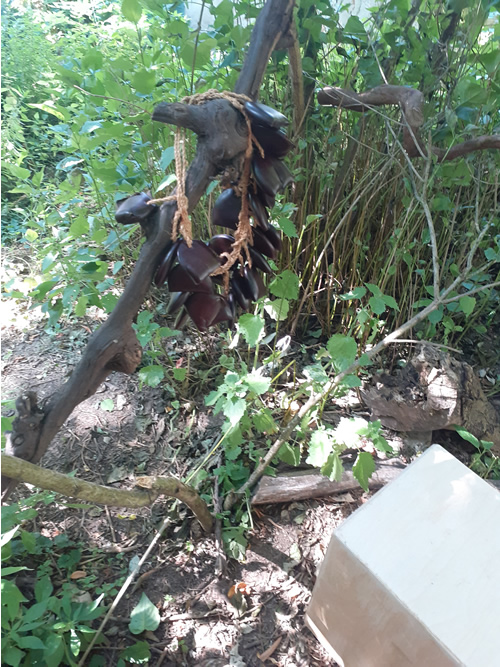 Les enfants au jardin