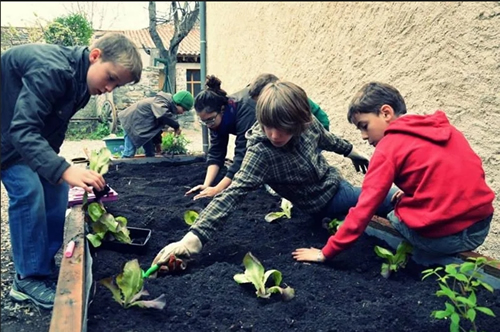 Milo Darnaud expérience pédagogique