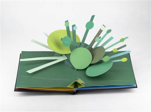 Couleur, David A. Carter
