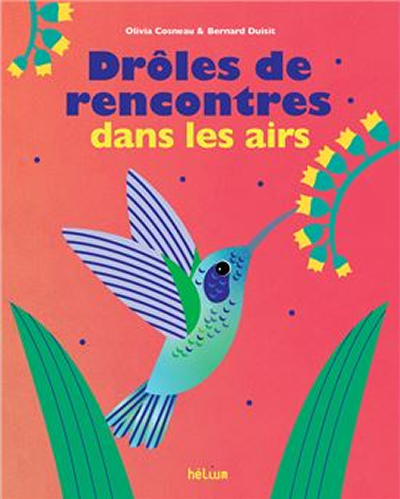 Drôles de rencontres dans les airs, Olivia Cosneau & Bernard Duisit